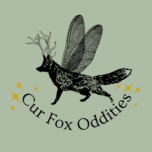 Cur Fox Oddities